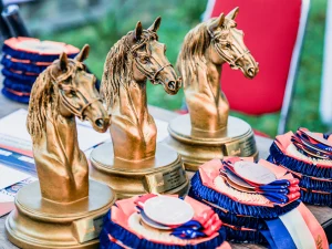 Shark Anantya 2026, Segmen Pembinaan Yang Konsisten